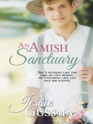cover image of An Amish Sanctuary